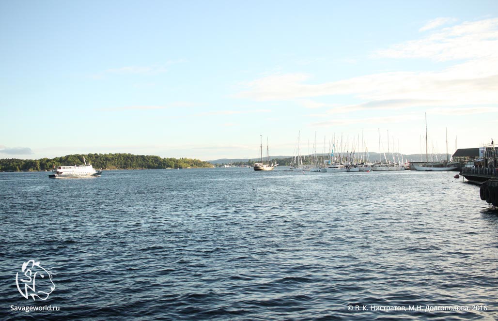 Первый день путешествия по Норвегии: Осло