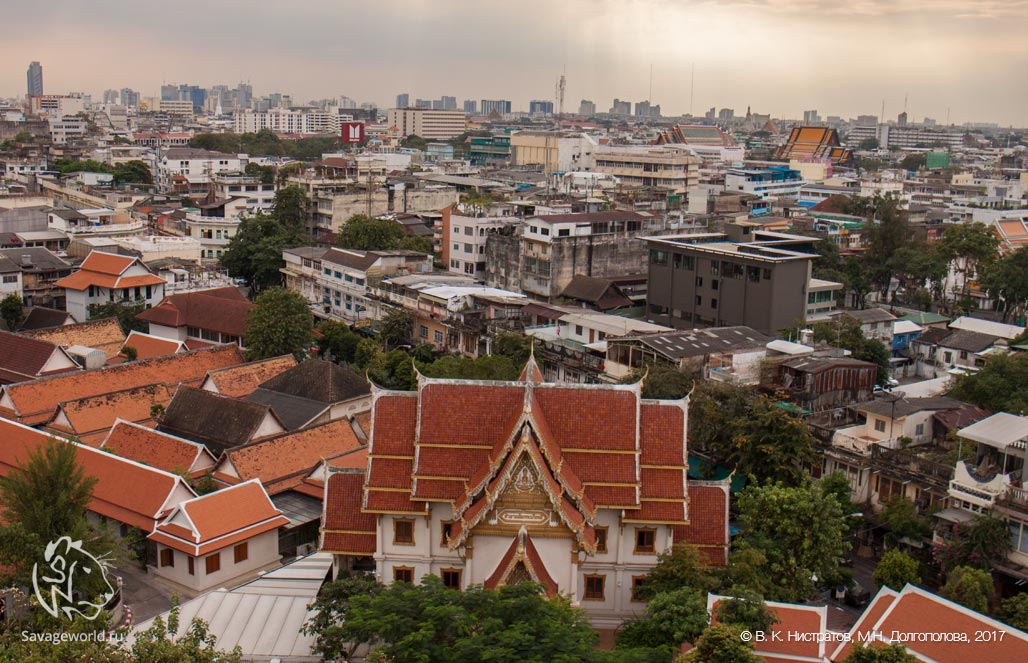 Десятый день путешествия по Тайланду: храмы и дворцы Бангкока