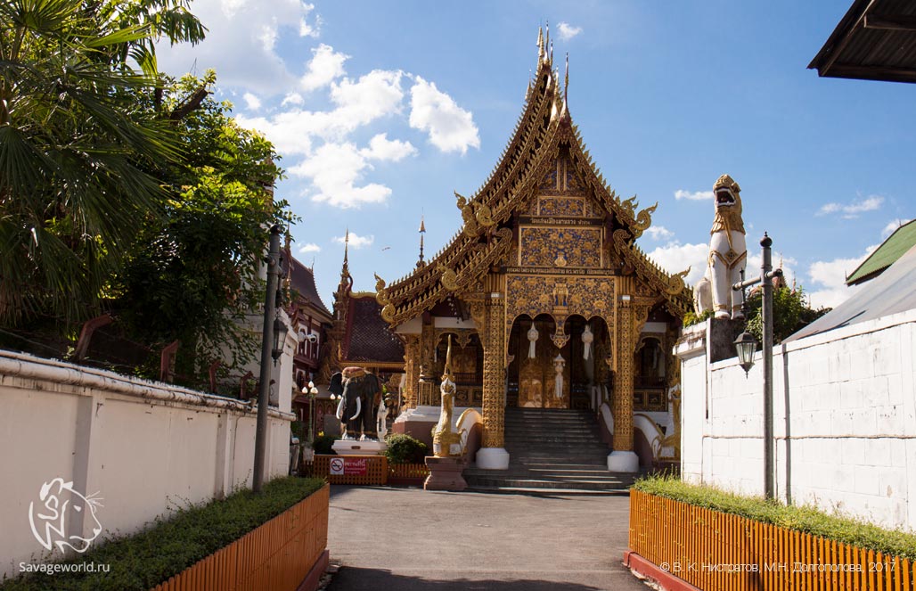 Седьмой день путешествия по Тайланду: храмы Чианг Майя