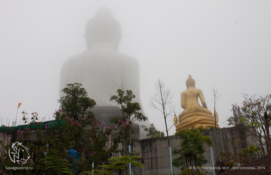 Второй день путешествия по Тайланду: Пхукет — Большой Будда