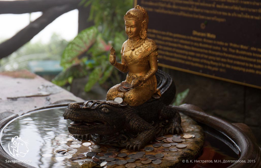 Второй день путешествия по Тайланду: Пхукет — Большой Будда