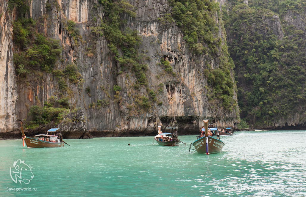 Четвертый день путешествия по Тайланду: экскурсия на острова Пхи-Пхи