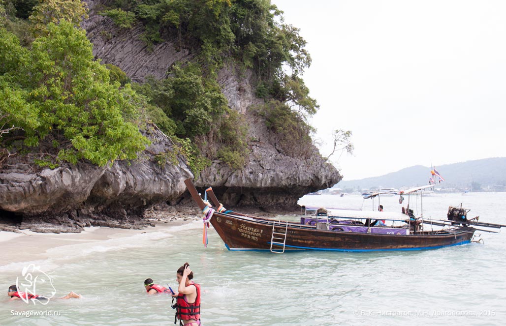 Четвертый день путешествия по Тайланду: экскурсия на острова Пхи-Пхи