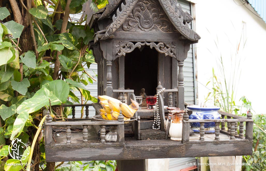 Шестой день путешествия по Тайланду: монастырь Най Харн, храм Wat Mongkol Wararam