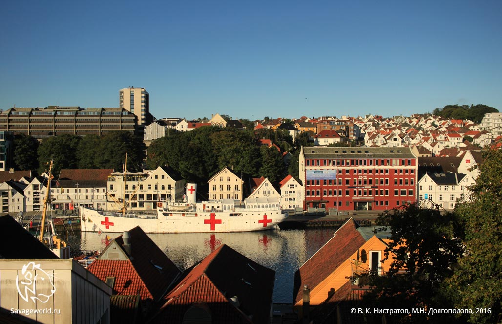 Третий день путешествия по Норвегии: Ставангер