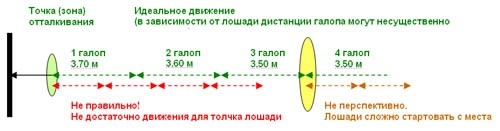 Как точно подвести лошадь к барьеру