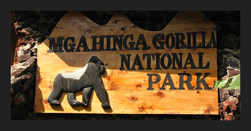 Национальный парк горилл Мгахинга
