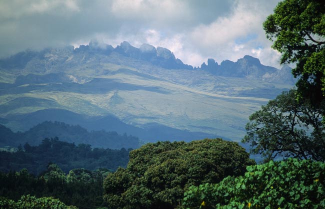 Заповедник горы Кения