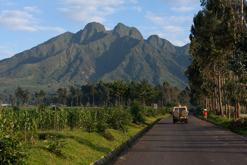 Вулканический национальный парк Руанды