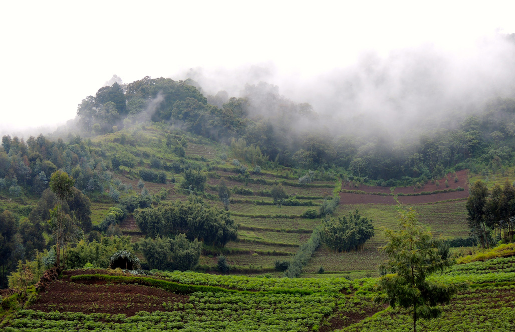 Вулканический национальный парк Руанды