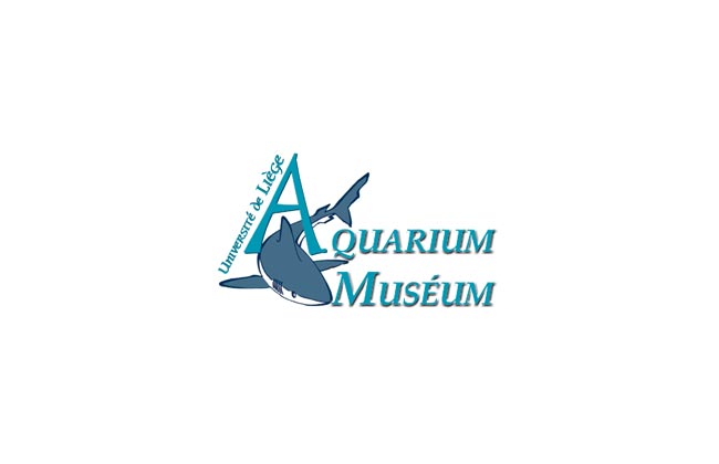 Aquarium-Museum van Luik